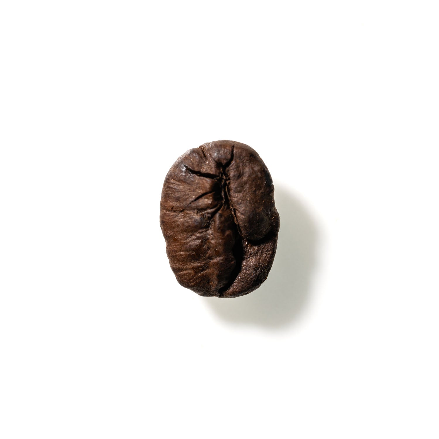 Coffee Bean No. 60