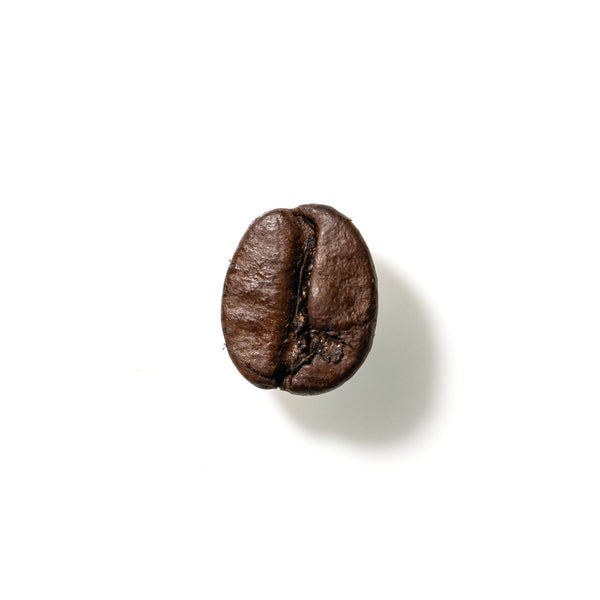 Coffee Bean No. 100