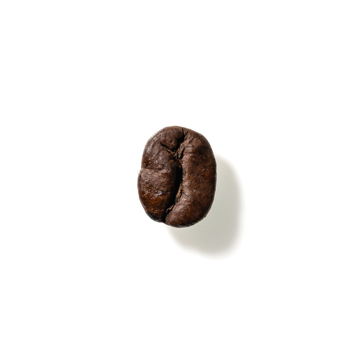 Coffee Bean No. 140