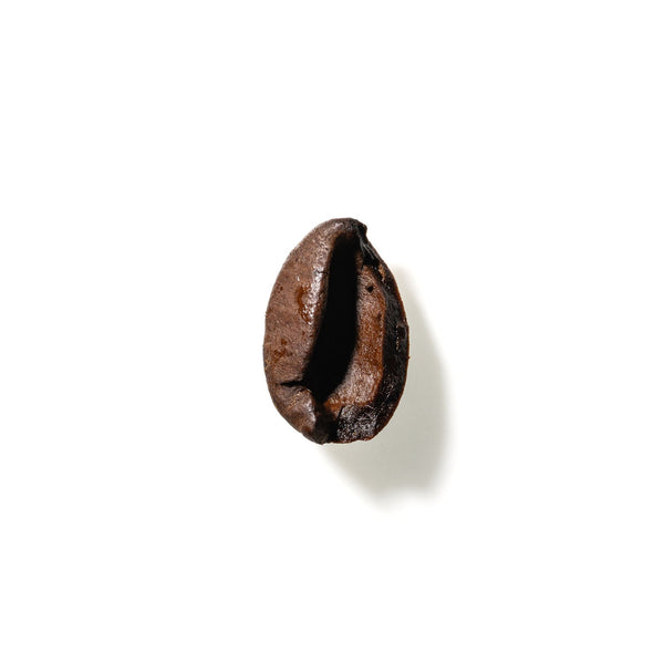 Coffee Bean No. 149