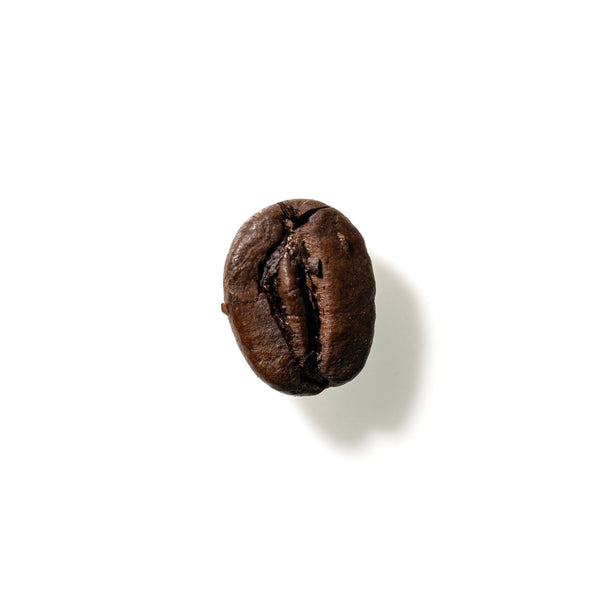 Coffee Bean No. 152