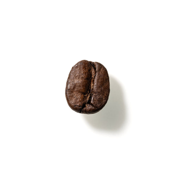 Coffee Bean No. 166