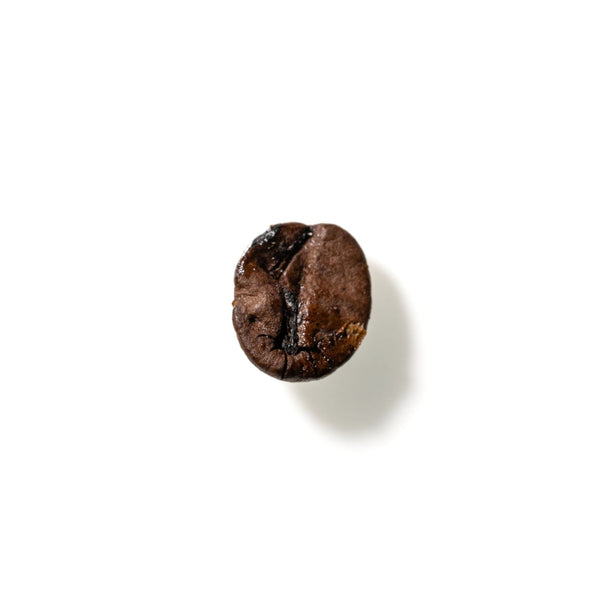 Coffee Bean No. 175