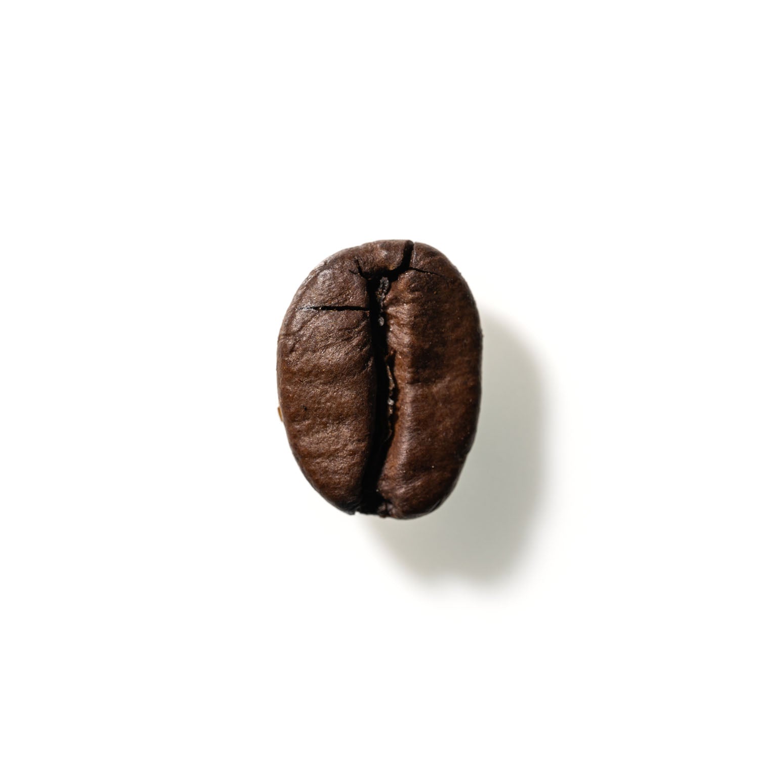 Coffee Bean No. 184