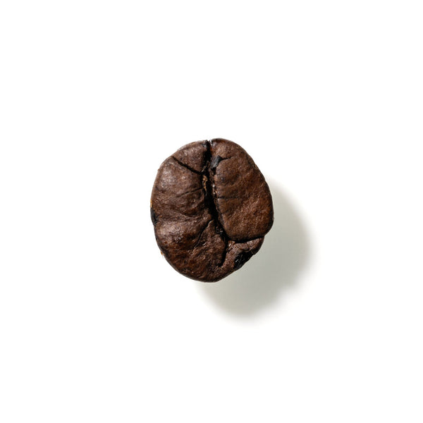 Coffee Bean No. 192