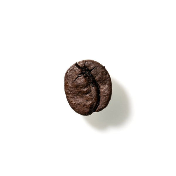 Coffee Bean No. 194