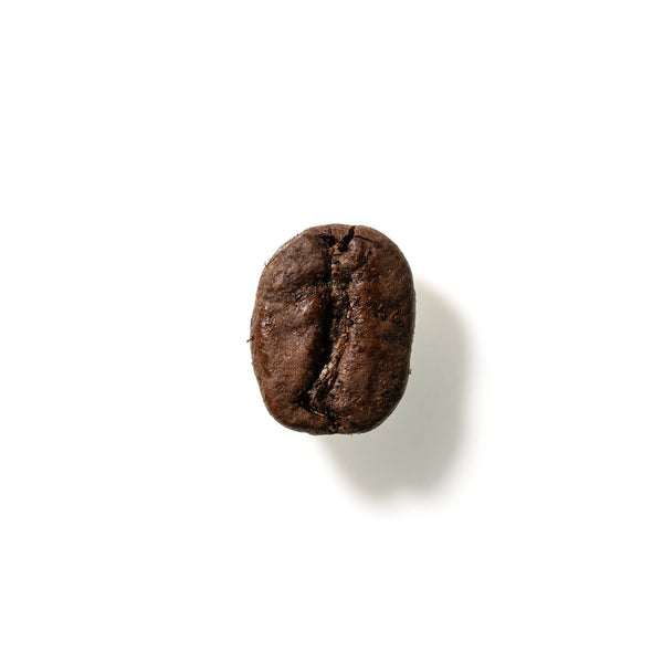 Coffee Bean No. 195