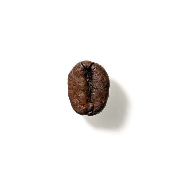 Coffee Bean No. 197