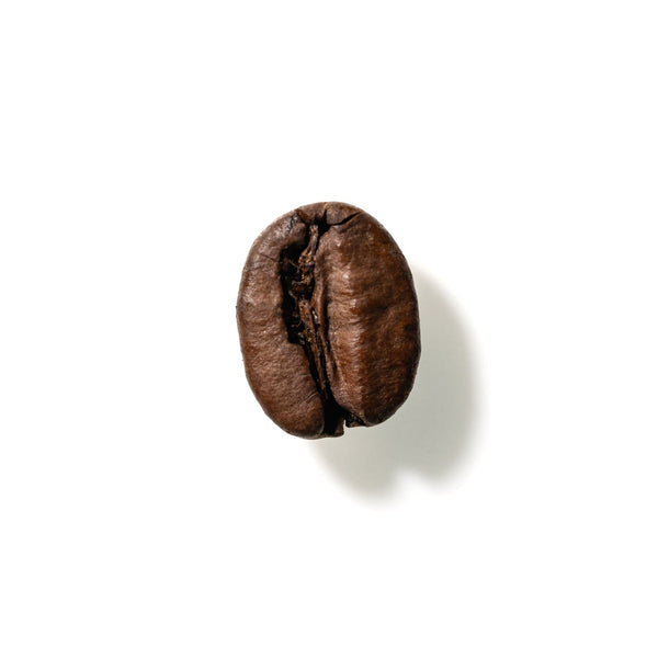 Coffee Bean No. 198