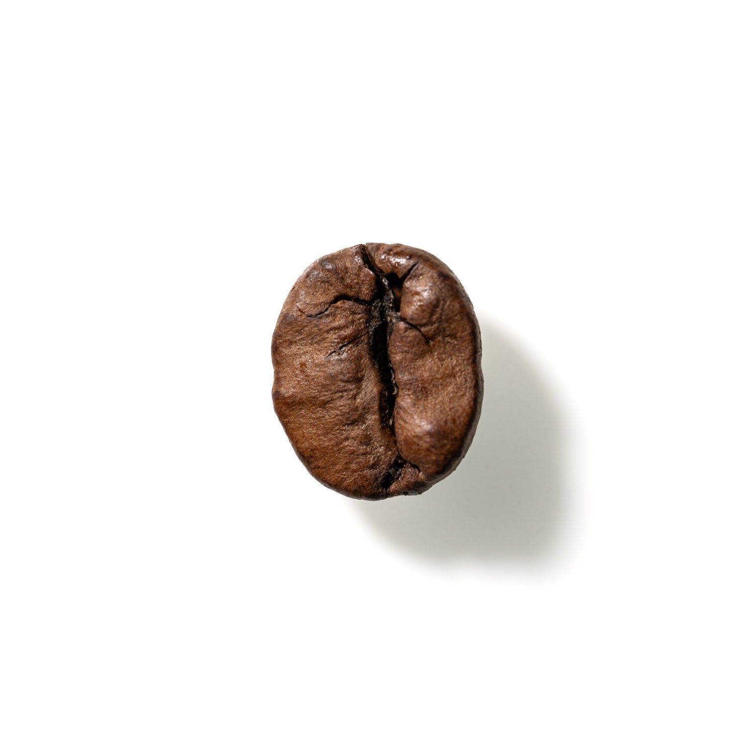 Coffee Bean No. 199