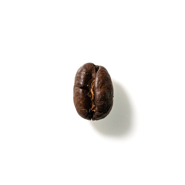 Coffee Bean No. 201