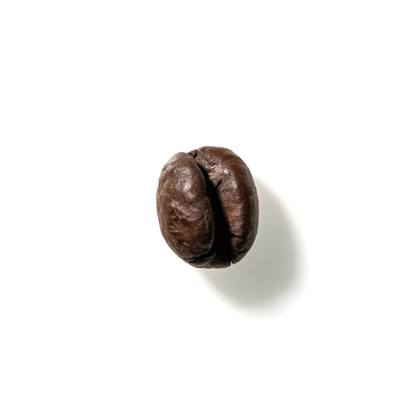 Coffee Bean No. 247