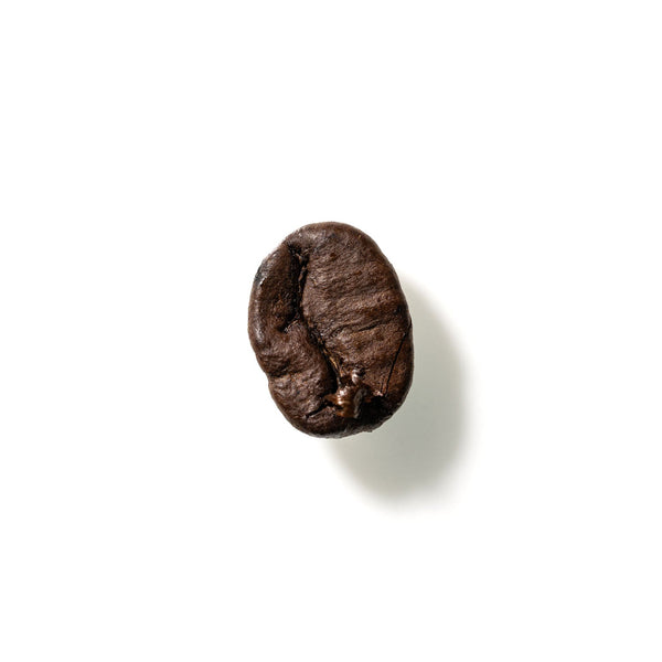 Coffee Bean No. 290