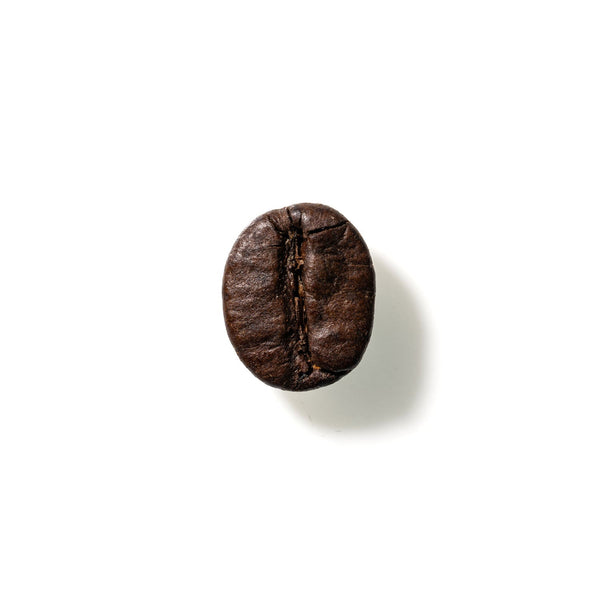 Coffee Bean No. 292