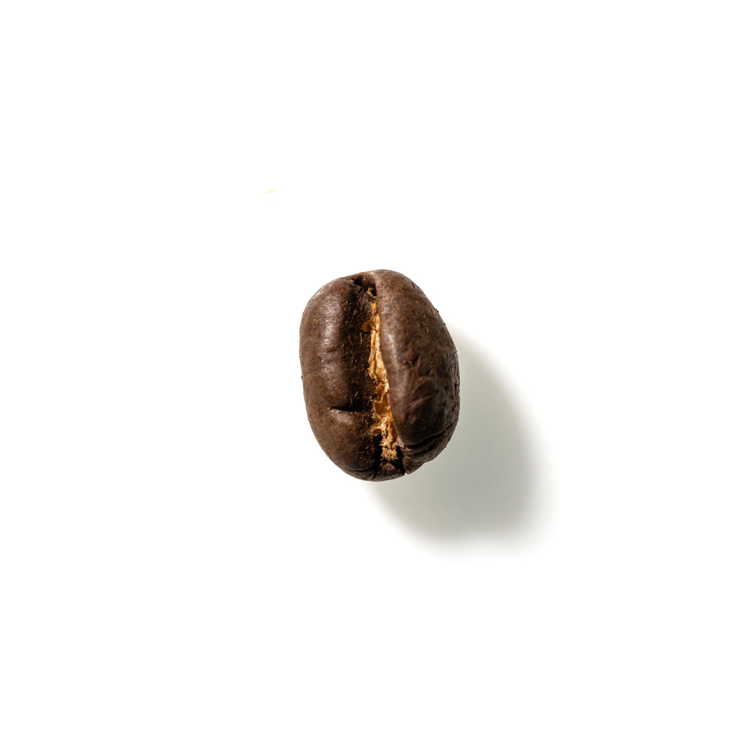 Coffee Bean No. 385