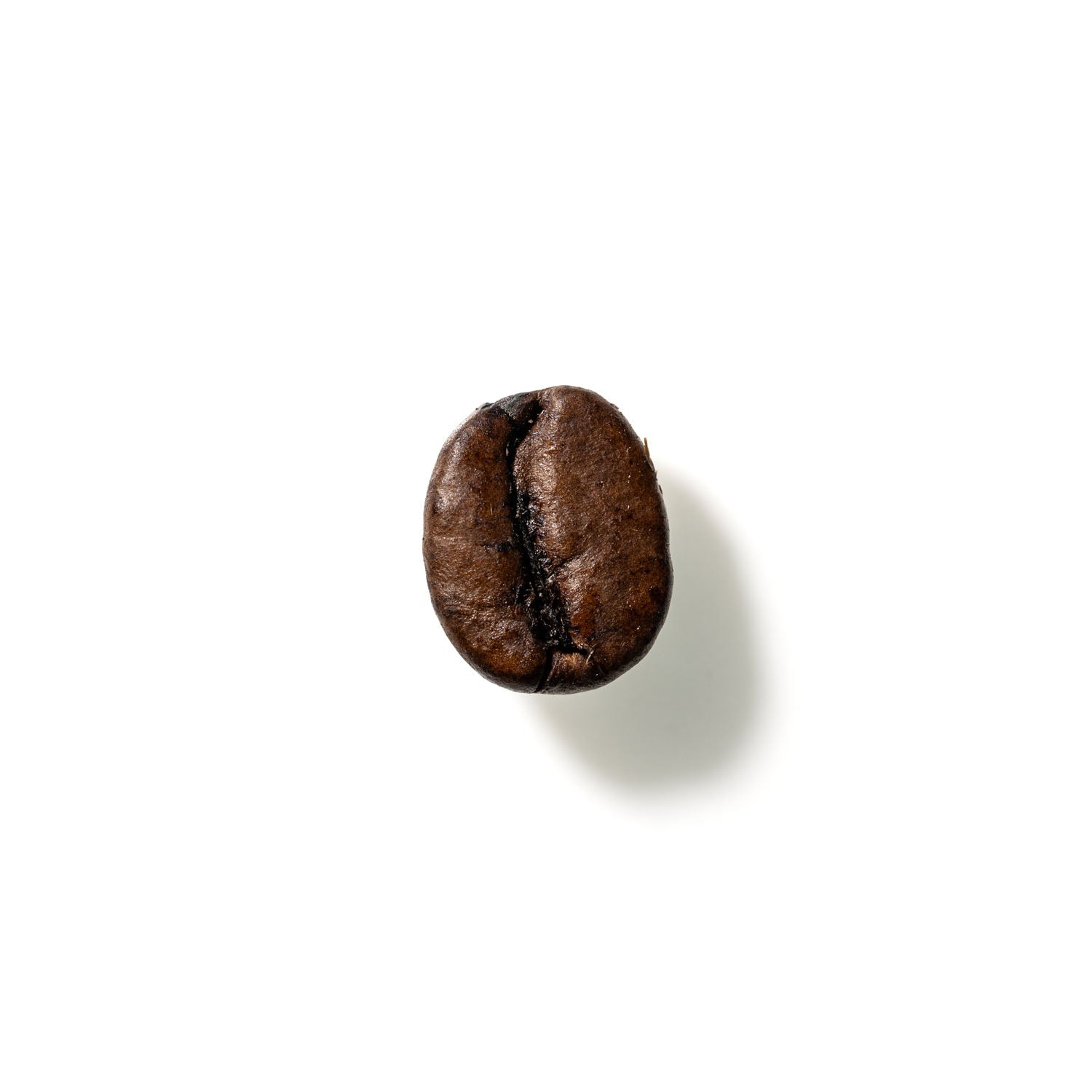 Coffee Bean No. 387