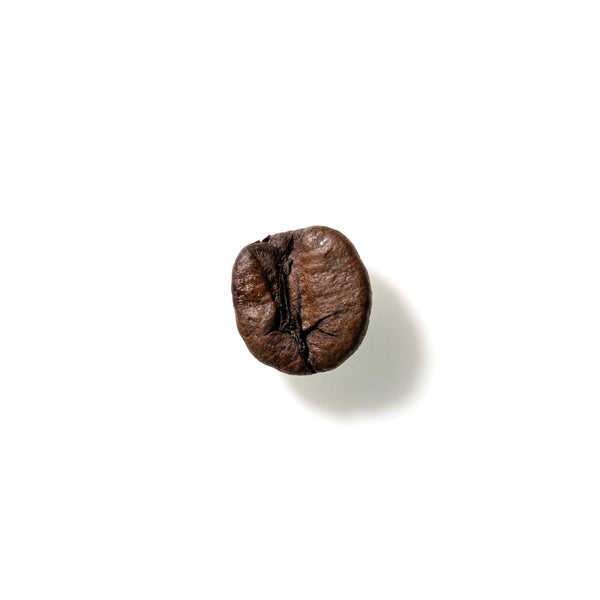 Coffee Bean No. 396