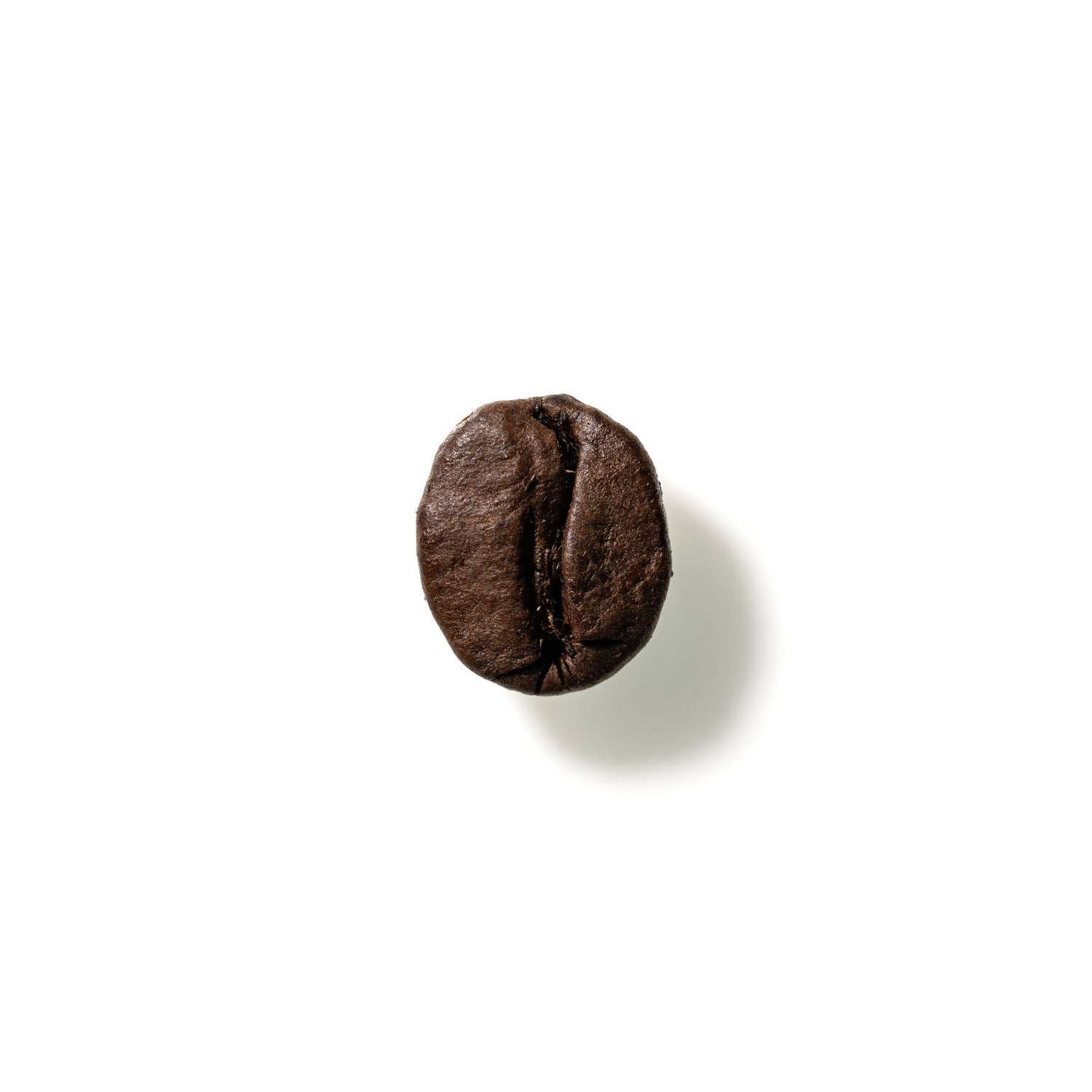 Coffee Bean No. 802