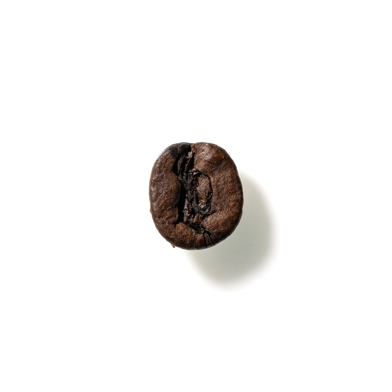 Coffee Bean No. 840