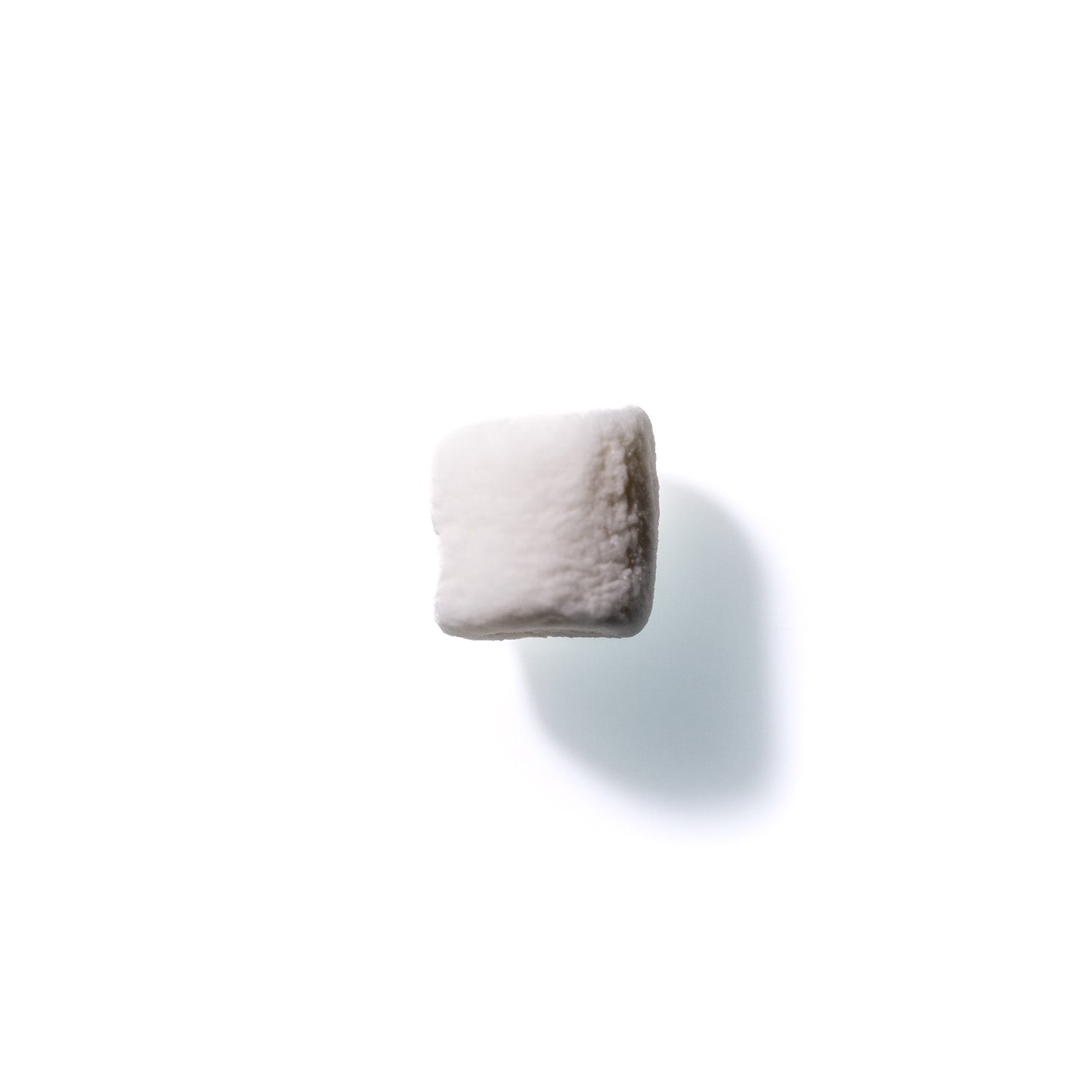 Marshmallow No. 293