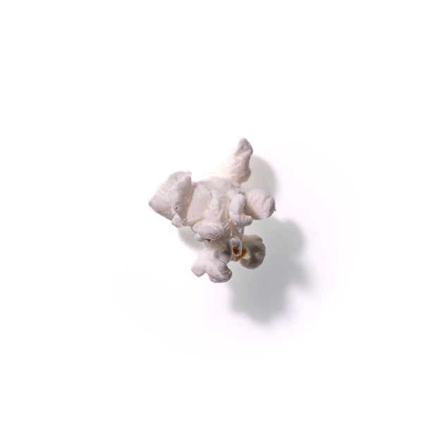 Popcorn No. 116