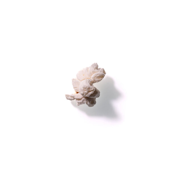 Popcorn No. 206