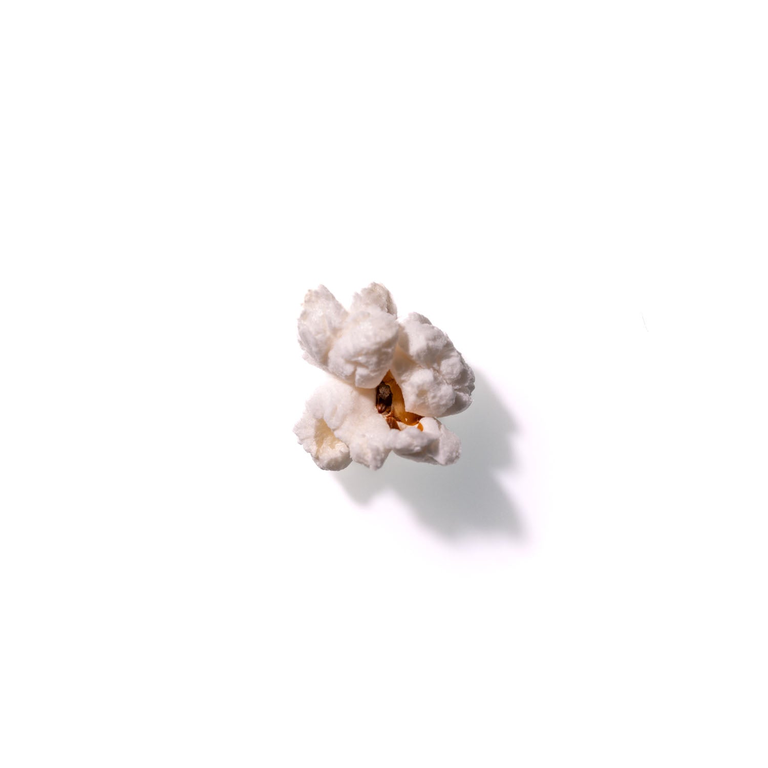 Popcorn No. 258