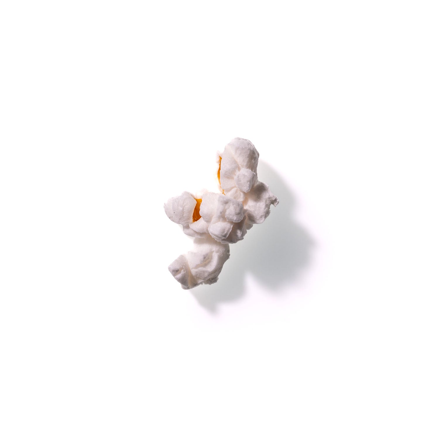 Popcorn No. 262