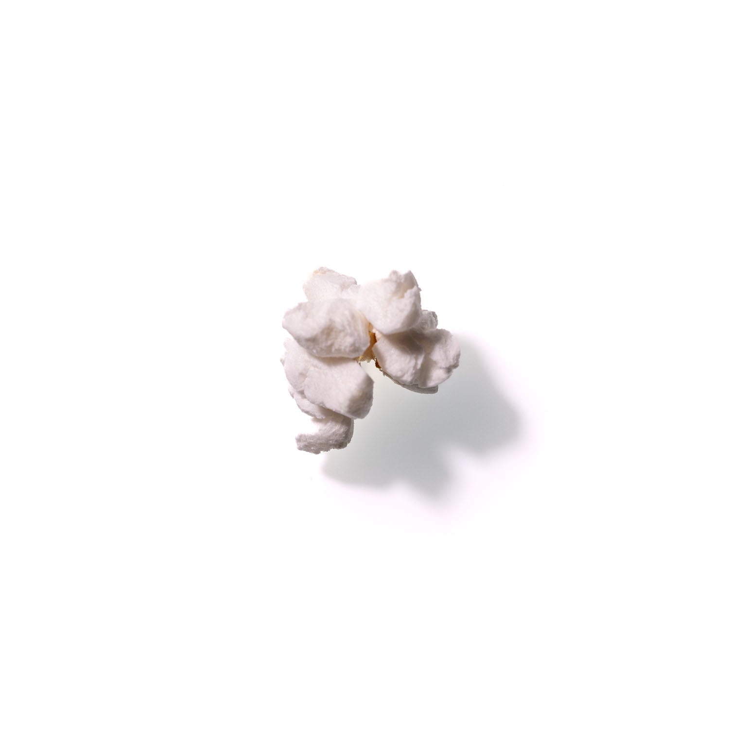 Popcorn No. 764