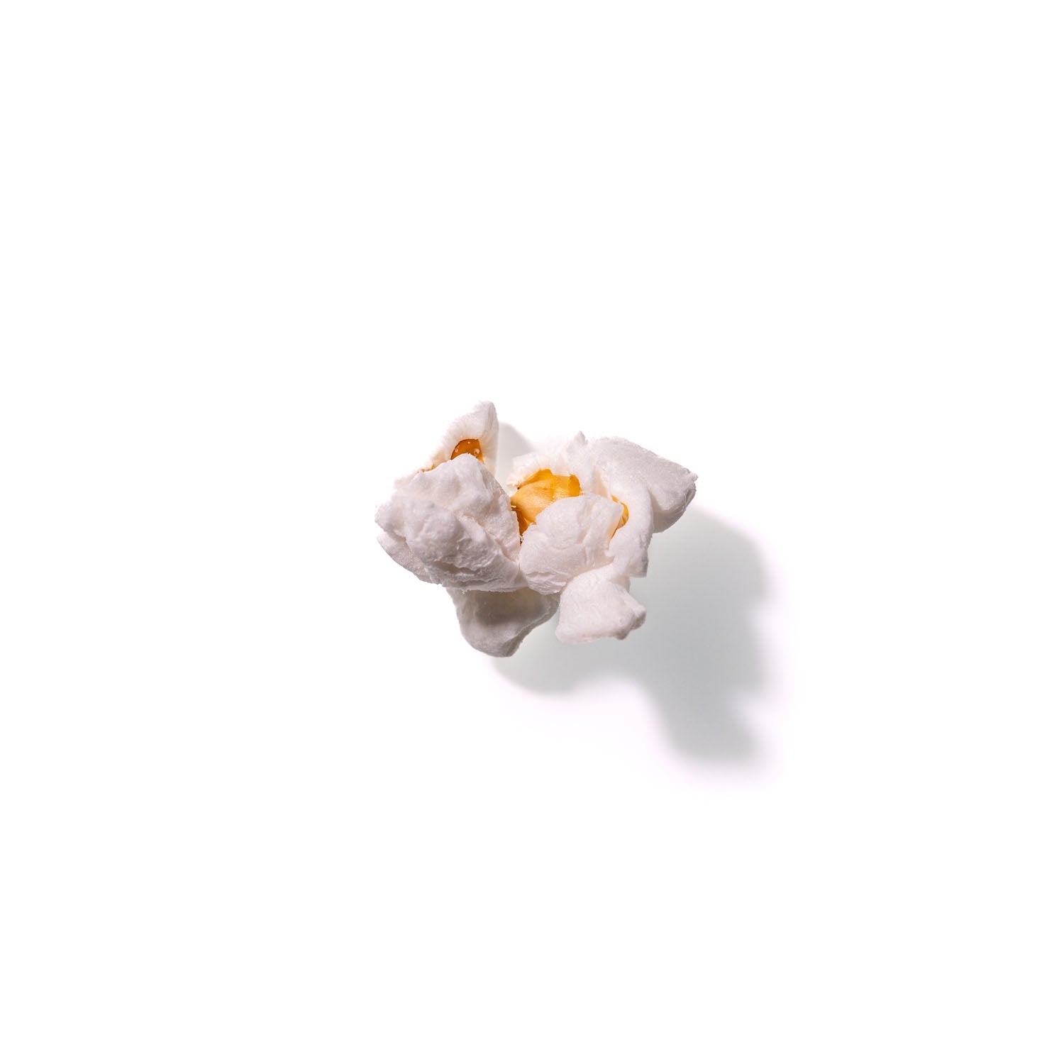 Popcorn No. 785