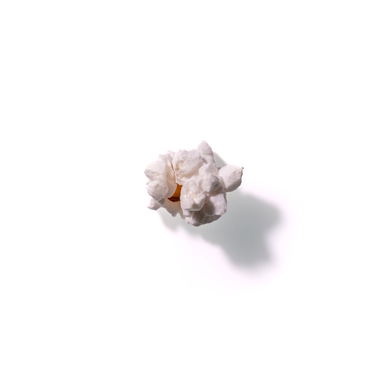 Popcorn No. 804