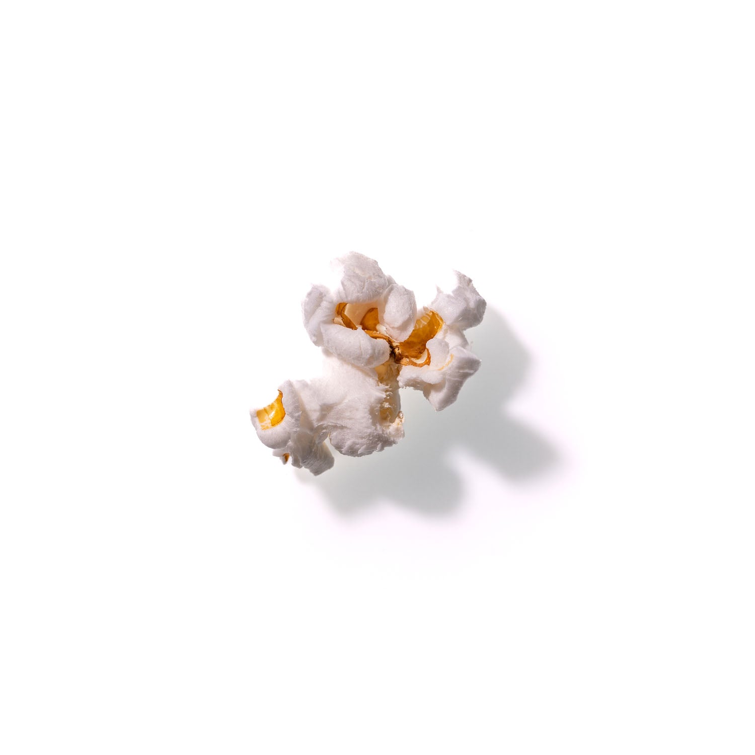 Popcorn No. 892