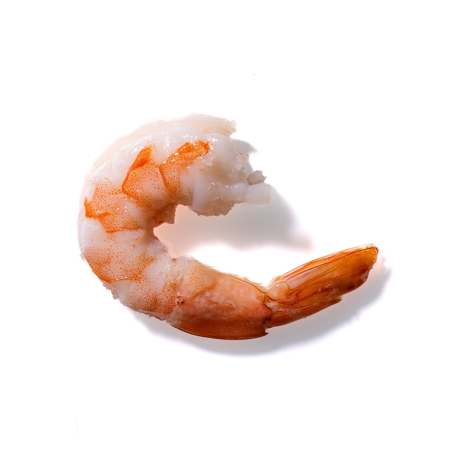 Shrimp No. 1