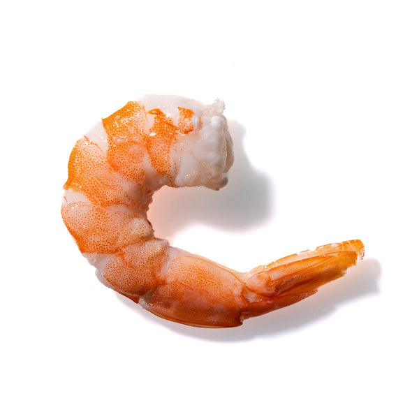 Shrimp No. 2