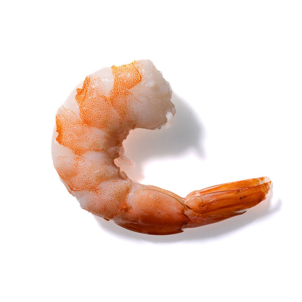 Shrimp No. 3