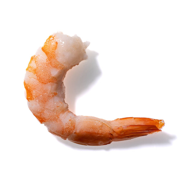 Shrimp No. 4