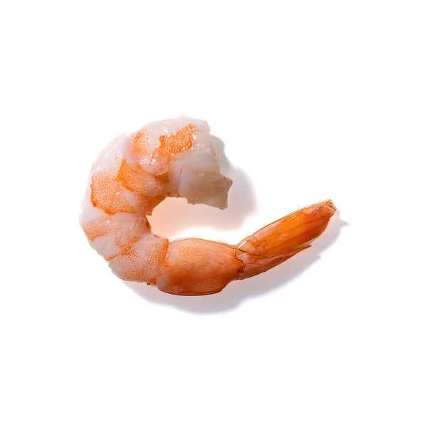 Shrimp No. 5