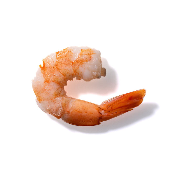 Shrimp No. 6