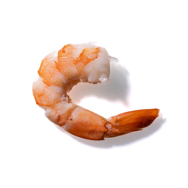 Shrimp No. 7