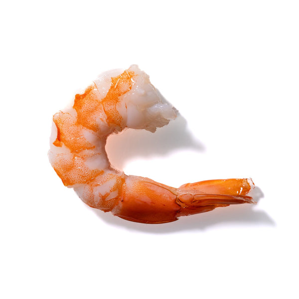 Shrimp No. 8