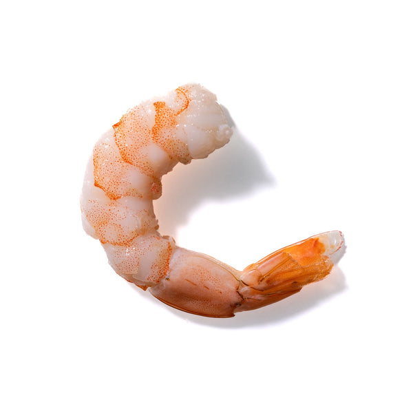 Shrimp No. 9