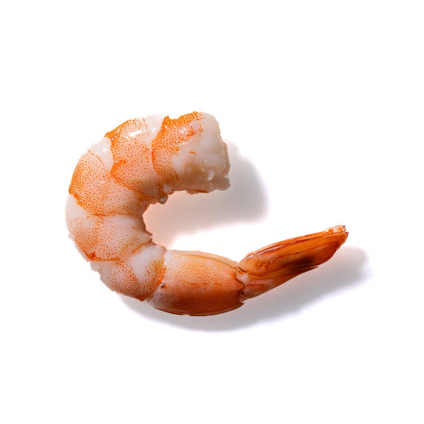 Shrimp No. 11