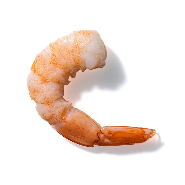 Shrimp No. 12