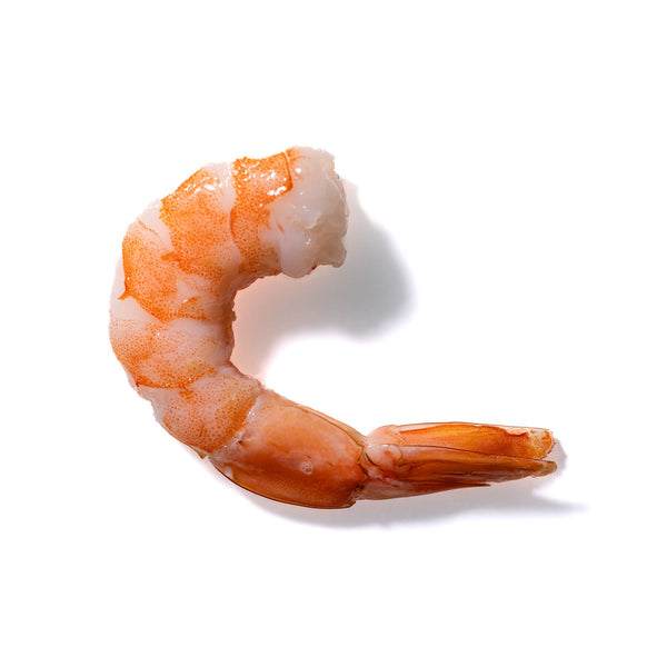 Shrimp No. 14