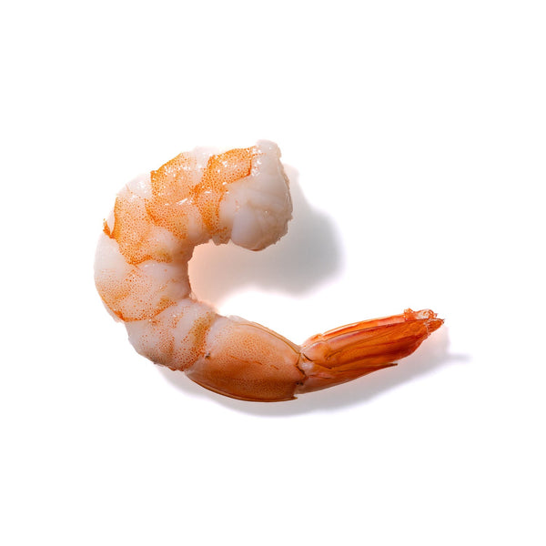 Shrimp No. 15