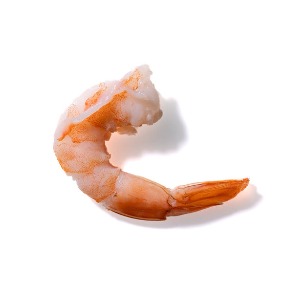 Shrimp No. 16