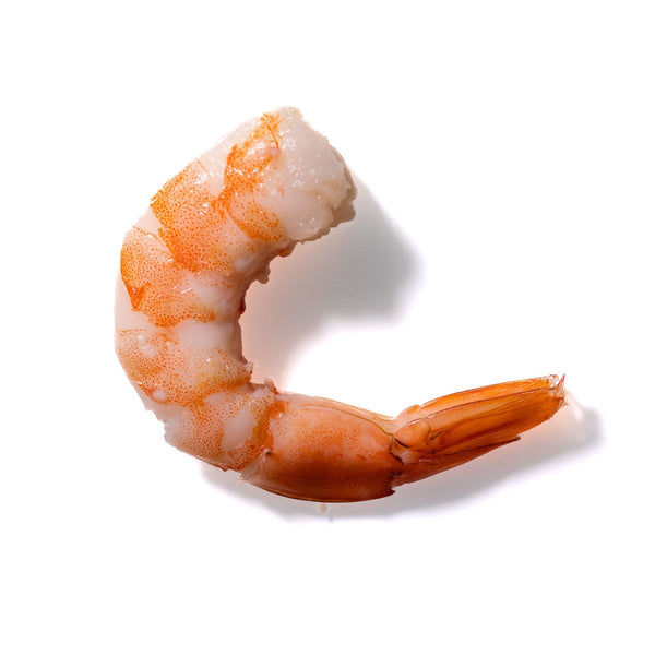 Shrimp No. 19