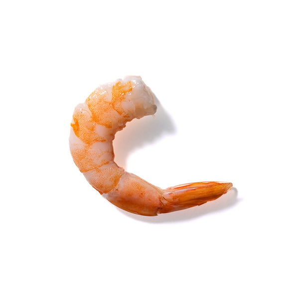 Shrimp No. 21