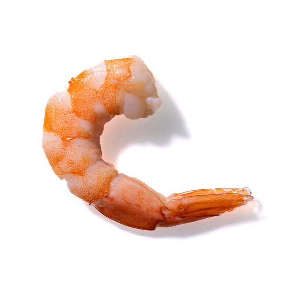 Shrimp No. 22