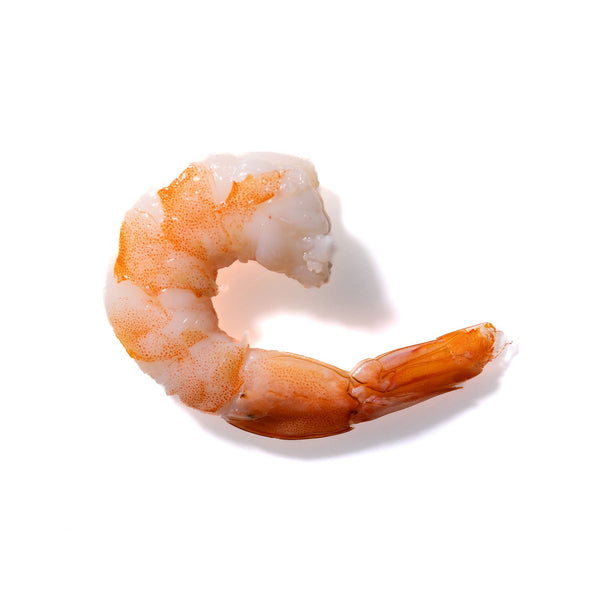 Shrimp No. 25